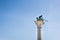 Winged St. Mark Lion statue on a column, copy space on blue sky background