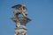 Winged Venetian lion in the historic center of Udine