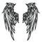 Wings Bird feather Black & White Tattoo Vector