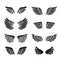 Wings black icons vector set (silhouettes). Minimalistic design.