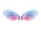 Wings with blue and pink feathers