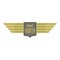 Wings fighter icon logo, flat style
