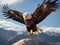 Wings of Freedom: Majestic Eagle Soaring Across the Clear Blue Sky