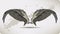Wings Griffon, hand drawing. Vector illustration.