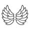 Wings icon. Line art. White background. Social media icon. Business concept. Sign, symbol, web element. Tattoo template.