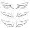 Wings icon outline set. Vector illustration of different bird wings.