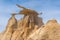 The Wings rock formation in Bisti Wilderness area, New Mexico