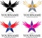 Wings Star Design Logo
