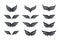 Wings vector Collection. Eagle bird heraldic flying Falcon Phoenix Hawk logo