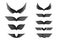 Wings vector Collection. Eagle bird heraldic flying Falcon Phoenix Hawk logo