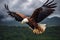 Wings of wonder, Fish Eagle glides gracefully through the cloudy heavens