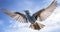 Wings of Wonder. The Mesmerizing Beauty of a Rare Bird in Flight. Generative AI