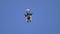 Wingsuite skydiver on parachute