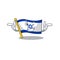 Wink flag israel flown on mascot pole