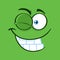 Winking Cartoon Funny Face With Smiling Expression