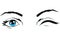 Winking eyes icon sign. symbol isolated on white background