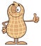 Winking Peanut Cartoon Character Giving A Thumb Up