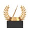Winner Award Cube Gold Laurel Wreath Podium, Stage or Pedestal with Golden Surgical Scalpel. 3d Rendering