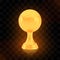 Winner basketball cup award, golden trophy logo isolated on black transparent background