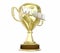 Winner Gold Trophy Award Prize Word