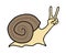Winner happy snail