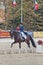The Winner Inessa Merculova on horse named Mister X