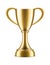Winner trophy. Sport award for champion victory congratulations, realistic 3d gold vector cup on white background