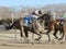 Winning at Aqueduct