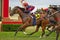 Winning racehorse and female jockey at Dubbo NSW Australia