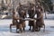 Winnipeg, Manitoba, Canada - 11 21 2014: Famous Five Monument. The bronze sculpture depicts five women whose challenge