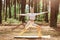 Winsome female in white sportswear practicing yoga in green park or forest, standing in yoga position, keeping eyes closed,