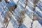 Winter aerial view of drainage ditches with trees on a snowy farmland