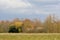 Winter agrarian field with colorful trees behind