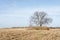 Winter agricultural landscape