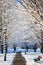 Winter Alley with Snow Covered Trees and Santa Hat on the Bench