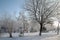 Winter in the alleys of the Calarasi city park 2