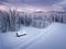 Winter alpine forest at Pokljuka Slovenia covered in snow at dawn