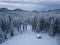 Winter alpine forest at Pokljuka Slovenia covered in snow at dawn