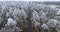 Winter asphalt road and frozen forest with rime, Poland.