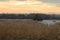 Winter On The Avalon Marshes - Somerset, England.