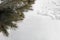 Winter background with a pine tree and snow