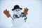 Winter background with snowflakes and snowman. Snowman is standing in winter hat and scarf with red nose.
