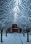 Winter background. Snowy path through snowy trees to the fence door