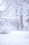 Winter background, with space for text. In the foreground of a tree branch in the snow, in the back of the winter forest blurred