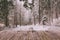 Winter background with wooden terrace and nature forest landscape. Christmas holiday concept