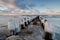 Winter Baltic landscape with icy breakwaters.