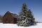 Winter Barn Pine Tree Scene