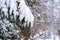 Winter beautiful landscape. Daytime nature with Christmas trees in the snow. A lot of fluffy snow. Green branch of spruce in the s