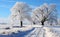 Winter beautiful landscape with trees covered with hoarfrost. Winter road and trees covered with snow