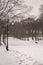 Winter beautiful park with many big trees, pines, child sled, be